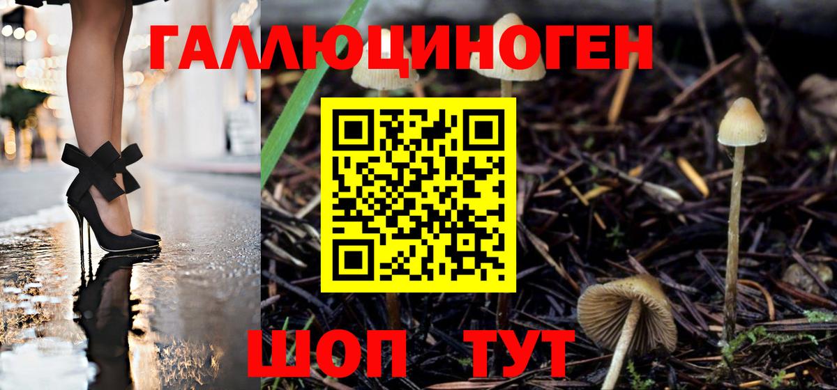 Галлюциногенные грибы ЛСД Мытищи