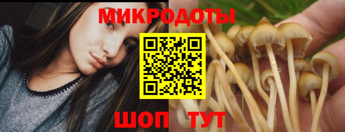 Мытищи  закладки  Вход с VPN  Галлюциногенные грибы мухоморы 