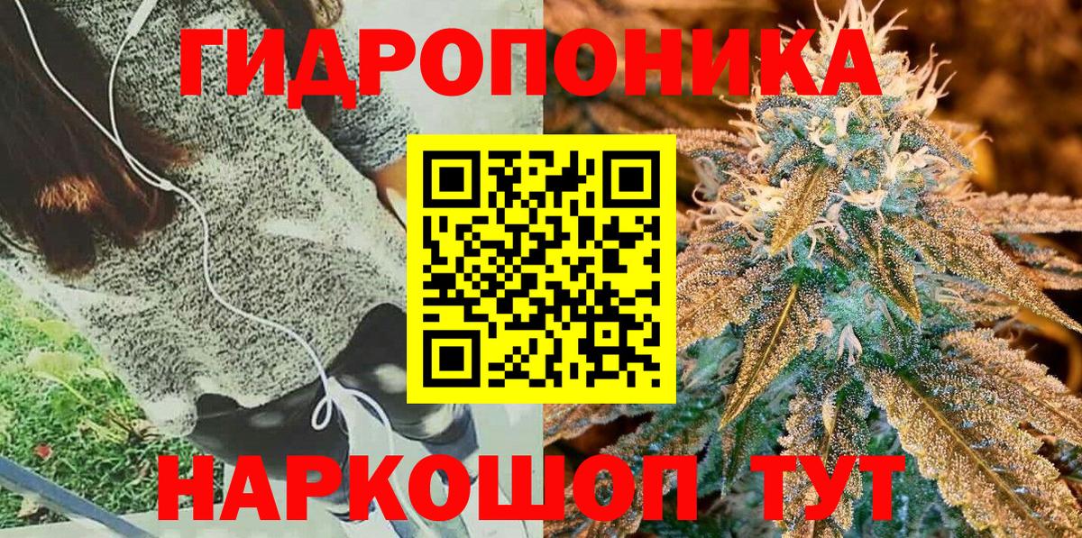 Марихуана сатива Мытищи